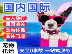 佛山航空空运国际宠物托运 【国
